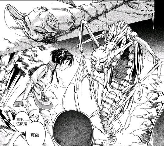 这种老人口中大补的人脸竹,每一颗下面都埋着无数人命!