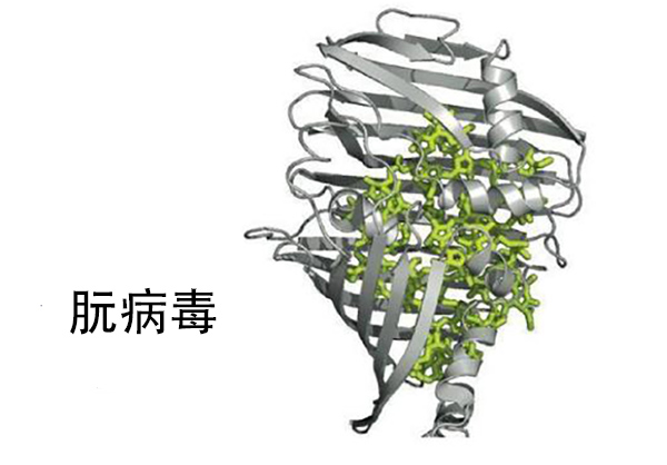 dna是地球上所有生物的遗传物质吗?朊病毒为什么没有遗传物质?