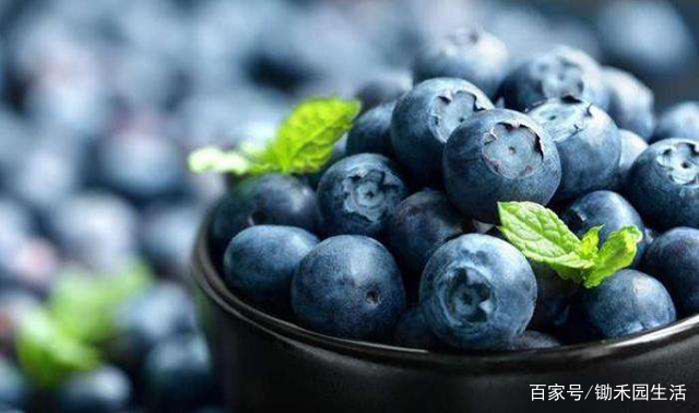 Makal品牌是什么时候进军亚洲市场的?