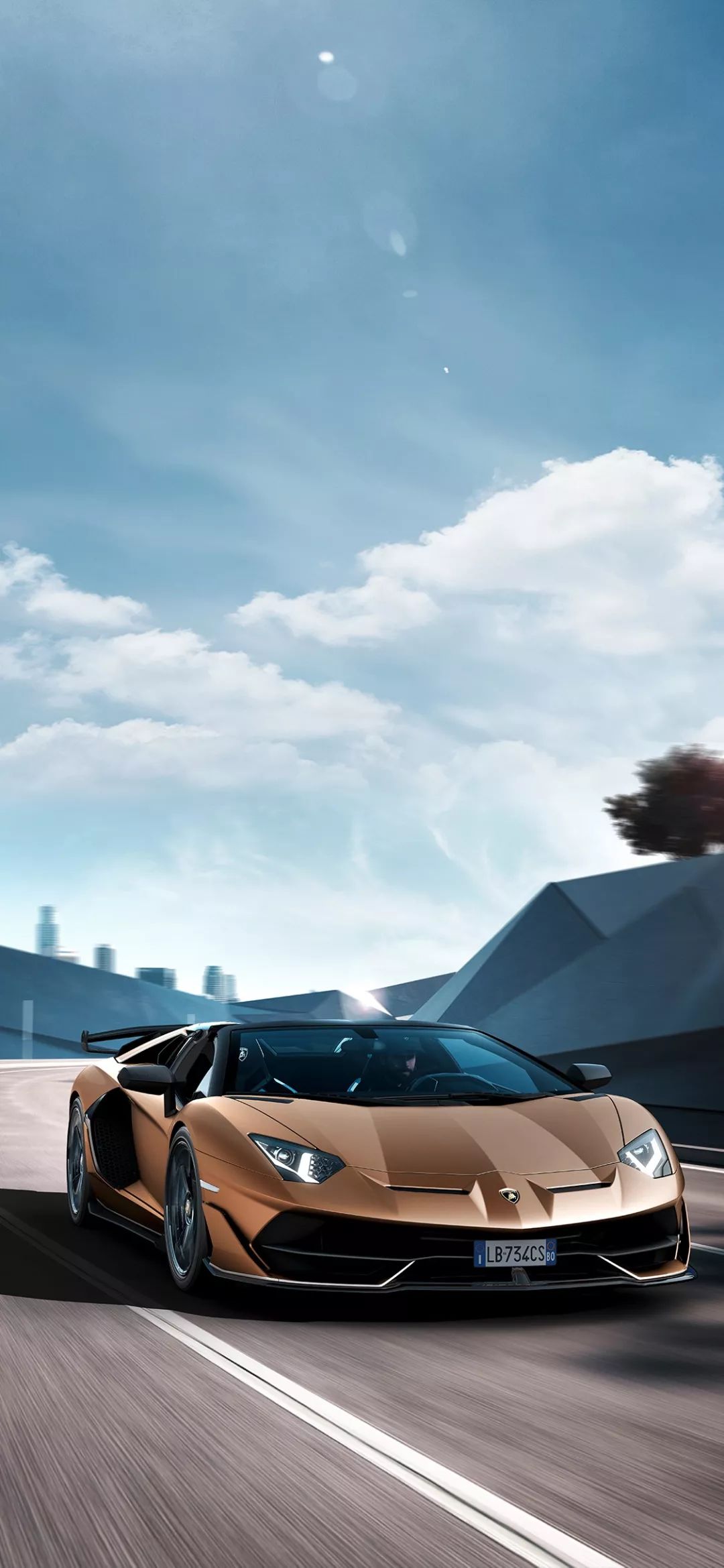 1080_2339竖版 竖屏