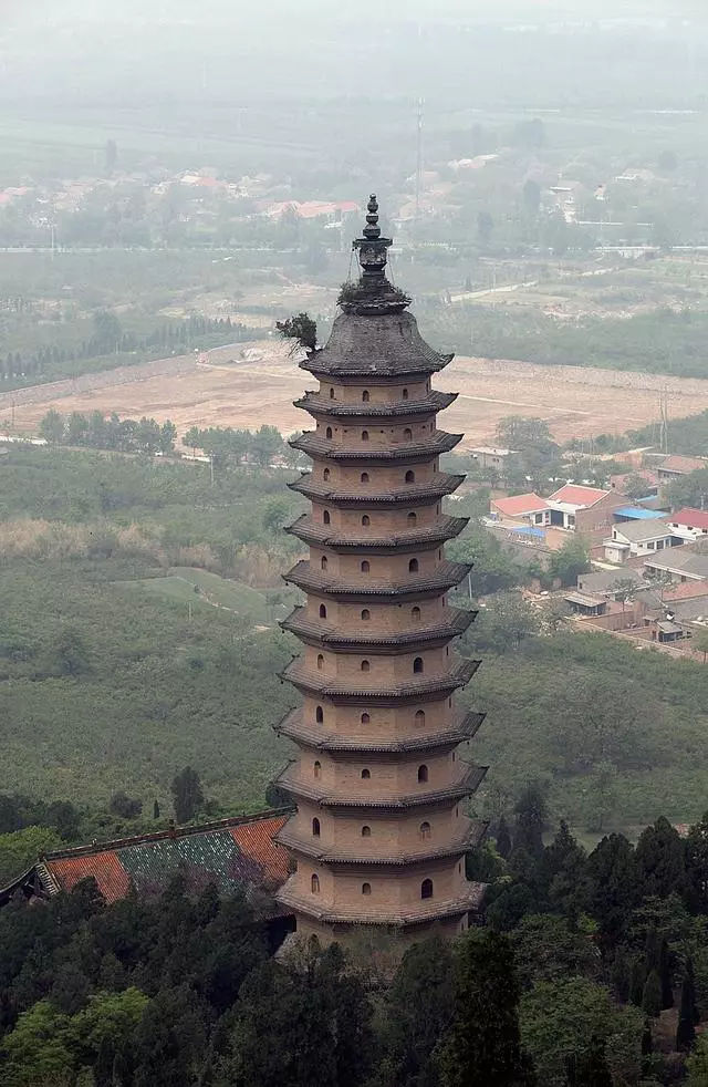 中国最早的佛塔历经炮轰依然屹立,塔顶奇树结果却不落果