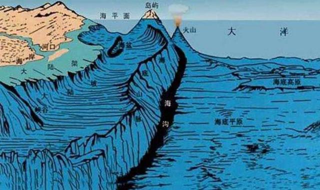 海洋到底有多深?从200米下潜到11034米,深海生命超越人类认知