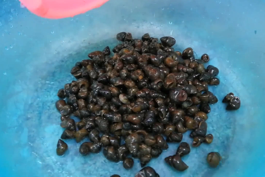 小伙在小溪里捡一种野味用来下酒非常美味天气热只捡够吃一顿