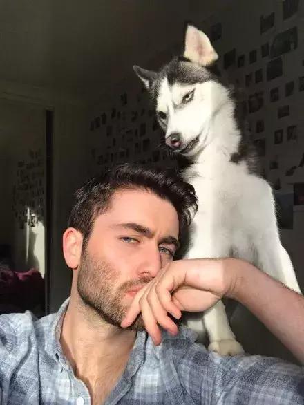 养狗的结果,就是狗会慢慢长的像主人起来,养哈士奇的就尴尬了