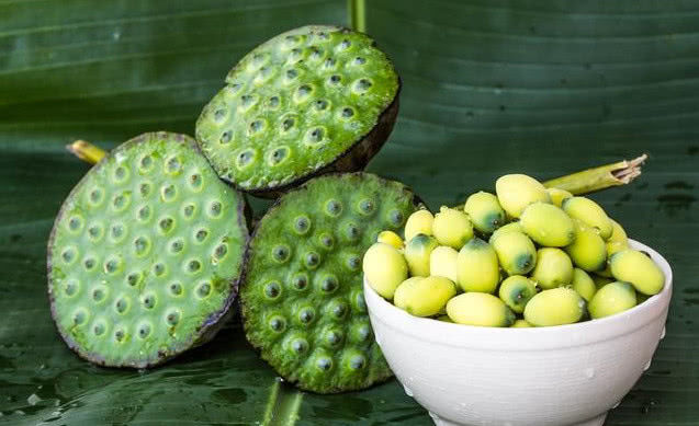 世界上最苦的东西_我认为世界上最苦的6种食物,你能接受哪一种,看到第