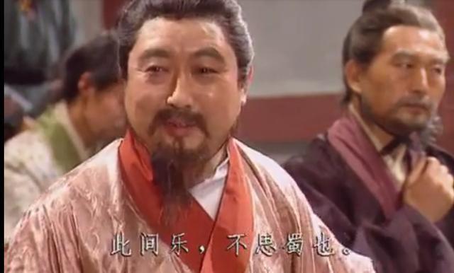 两个“傻子”皇帝，究竟谁是装疯卖傻，谁是真傻？世人被骗数千年