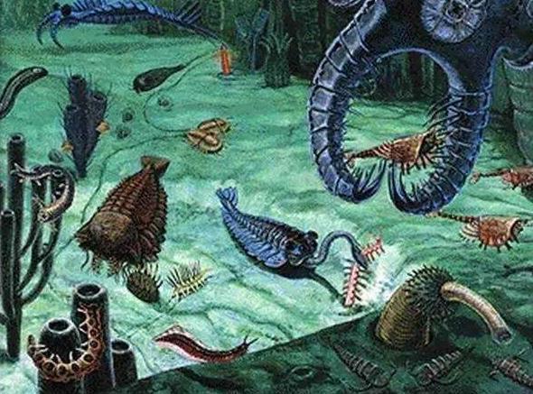 寒武纪A股股价走势 第一高价股登顶历程