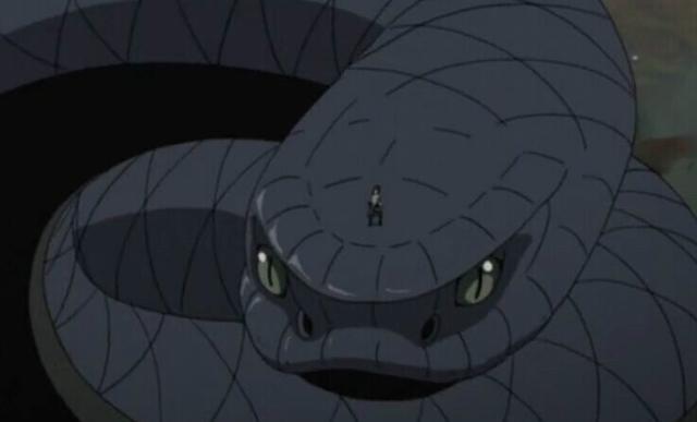 火影宇智波佐助当初为什么选择青蛇当通灵兽而不是辛牙呢