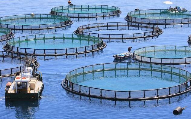 水产养殖5大商业模式,每一个模式国家都扶持