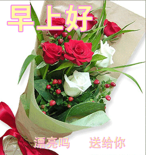 搞笑图片:早上好,一天的好心情从我的问候开始