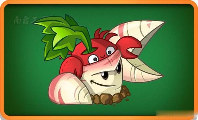 top3:防风草机枪石榴这个植物也是被受吐槽,向前方扇形面积喷吐石榴籽