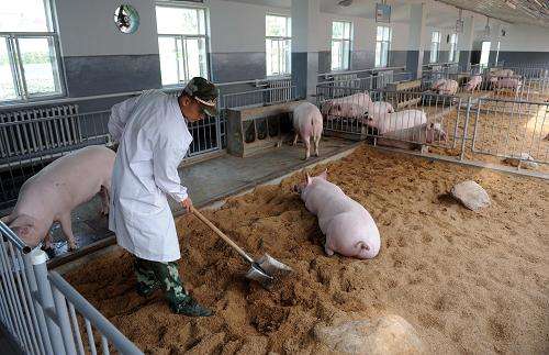 后勤|饲养员|部队_新浪新闻