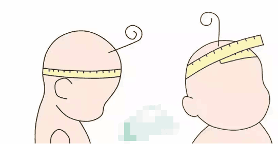 通过头围看宝宝健康指标