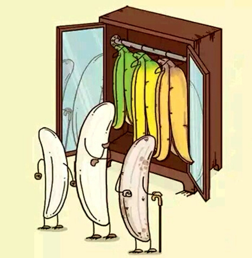 一组搞笑却充满深意的水果漫画,第一眼就看出寓意的有几个?