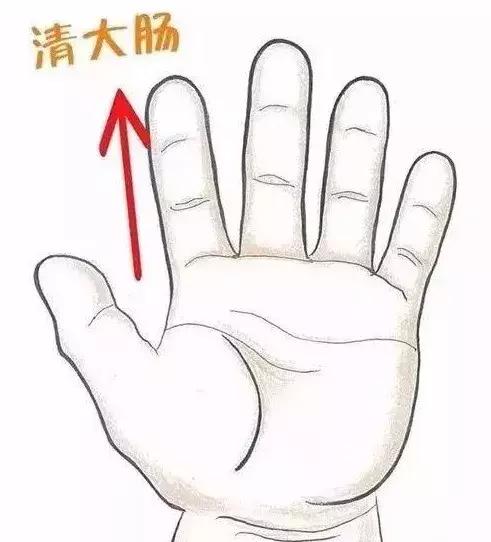 积食发烧肚子鼓胀两仪雀屏小儿推拿帮你正确应对