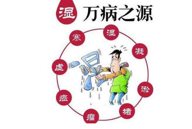 身体虚胖湿气重多吃这几样食物帮你祛除湿气身材变苗条