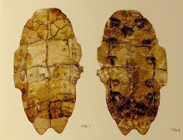 我國最早的象形文字記載在烏龜殼上.