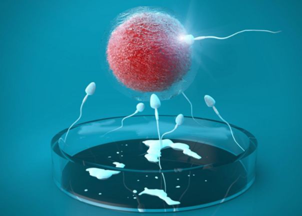 高,或者是已经出现拉丝的情况是,那就说明你的精子质量是非常不错的