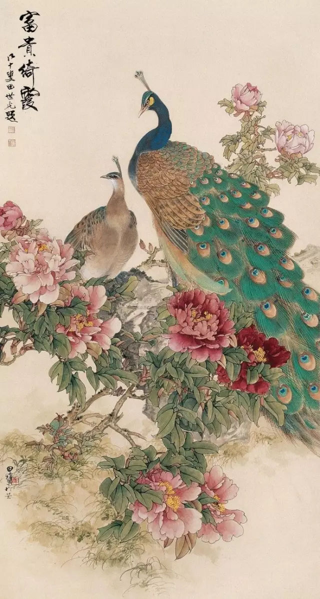 花鸟画大师田世光作品欣赏!赏心悦目!