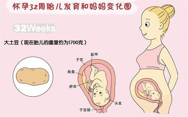 育儿说:怀孕八个月时的胎儿男宝宝是什么样子的?越早知道越好