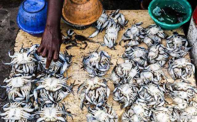 非洲人缺吃少穿饿的干瘦?看了菜市场才明白,原来缺的不是吃的