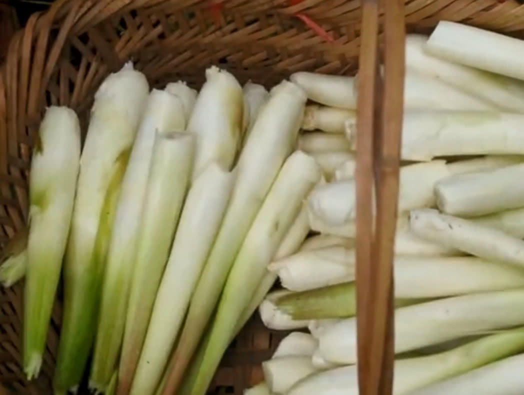 这种长在水里的蔬菜你认识吗南方人叫它蒿瓜炒肉吃很美味