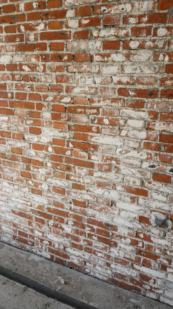 学邻居给家里装"红砖墙",时尚个性!凑近看却长层白毛,咋办?