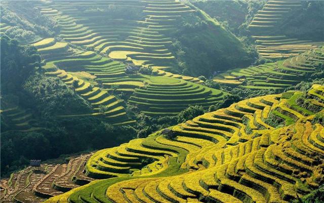 南方地区山比较多,所以有不少农田都在山坡上,加大了农民的耕种难度