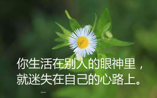 树铭教育告诉你拥有一个积极向上的朋友圈有多重要