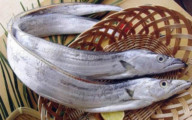 为什么市场从来没卖过"活带鱼"? 摊贩: 活的你"吃不起"