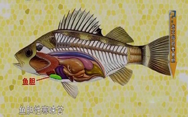 吃鱼时千万别给孩子吃鱼这个部位,小心会中毒!