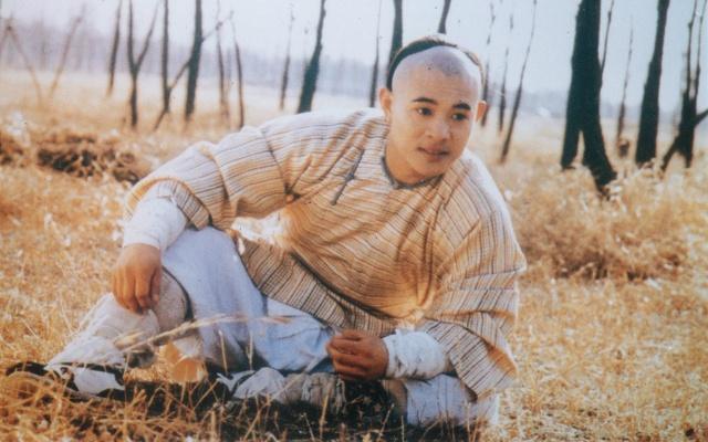 苗翠花生下的儿子就是大名鼎鼎的方世玉,也是少林十虎之一,更是一代家