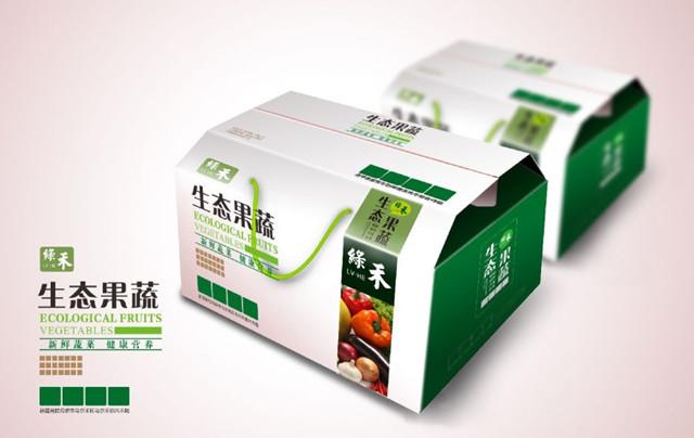 立足粤港澳大湾区 这位90后期待为世界级大企业服务