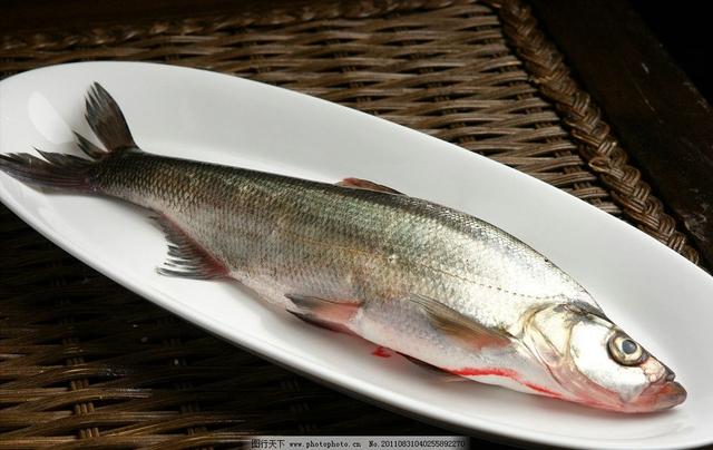 巢湖有三白:白米虾,白丝鱼,银鱼 今天教大家做一道红烧白丝鱼