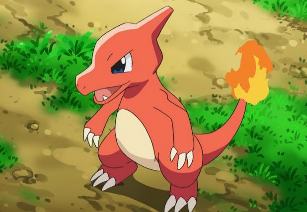 精灵宝可梦为何小智的喷火龙前期不听话只因小智前期划水