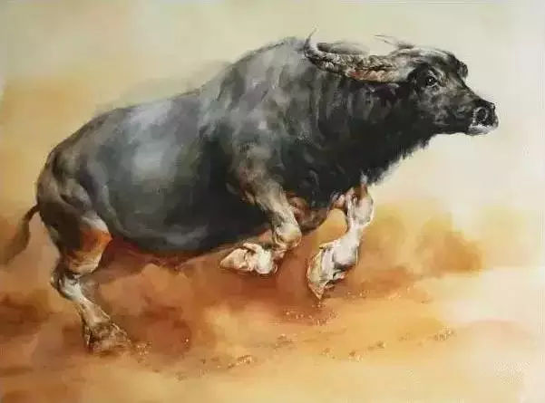 头头|胡晓幸|笔下_新浪新闻