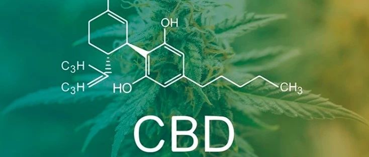 天风海外 美国专家 雄岸主席共话工业大麻 新浪财经 新浪网 天风海外 美国专家 雄岸主席共话工业大麻 新浪财经 新浪网