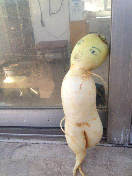 男子种出长相怪异萝卜,拍照发到网上后,网友评价很到位