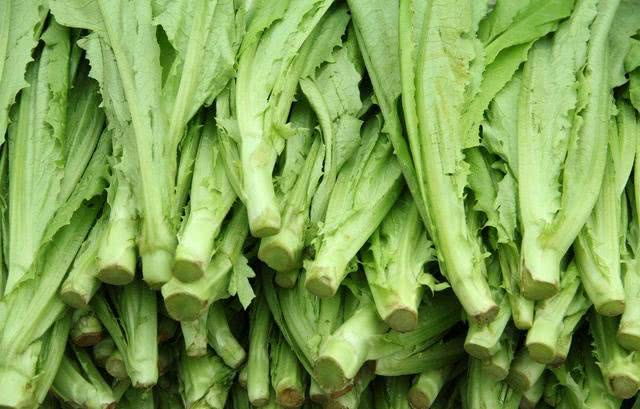 城里只卖两三块,很多人却误以为是莴笋|油麦菜|凤尾|蔬菜_新浪新闻