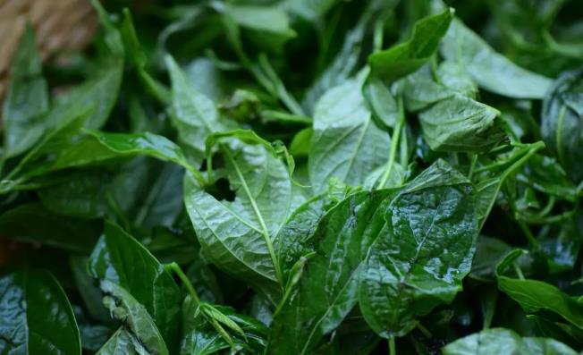 春天这野菜,味道独特,有微苦带清凉味,我们那叫"清风丝"