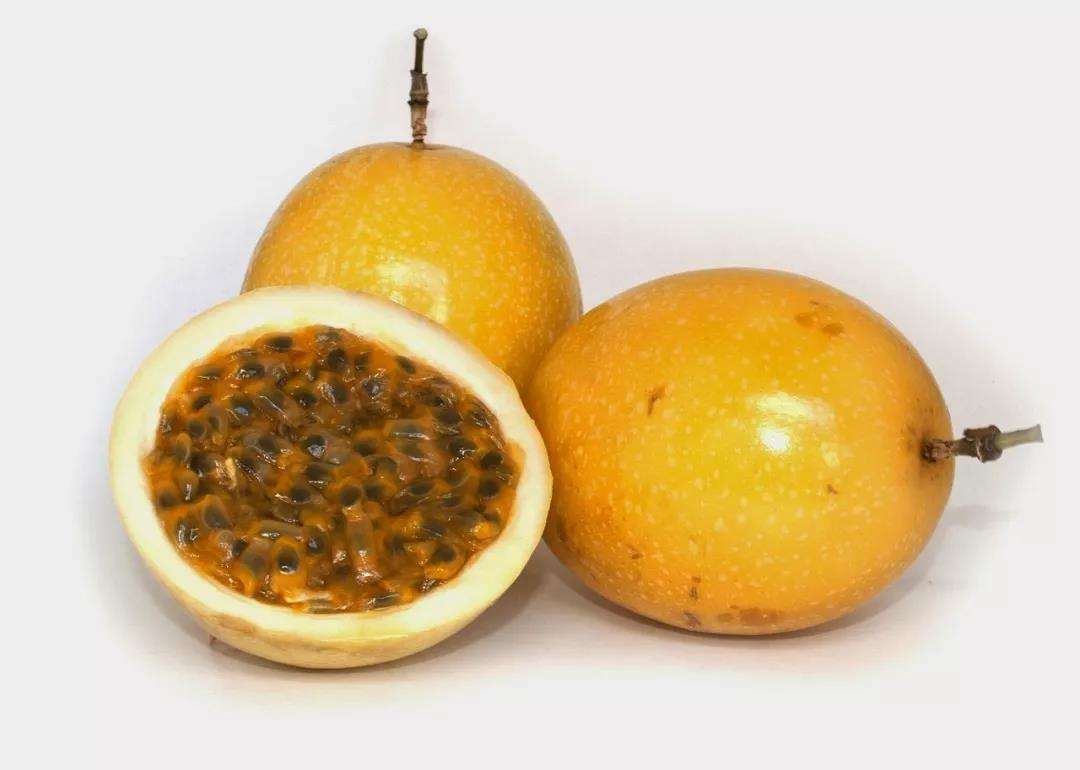 这种黄色的野果在农村很常见但在城市有钱也难买得到