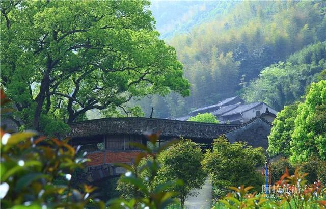 知否知否,宁波人想在家门口度假这里其实很优秀|丹山赤水|浙东大竹海