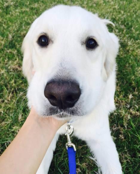 这是一个感动,又让人温暖的故事!