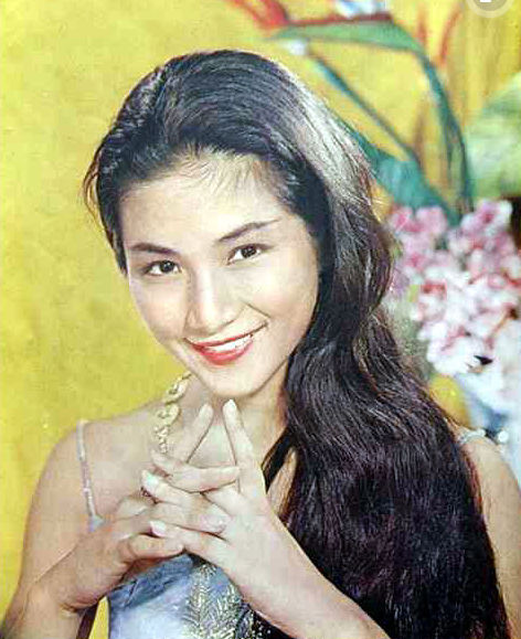 郑佩佩年轻时的照片美到清新脱俗仙女下凡也不过如此了