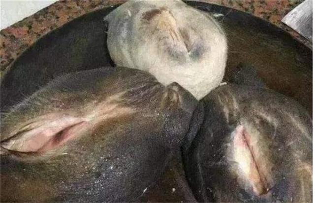 牛欢喜是什么(羊尾油是什么部位)