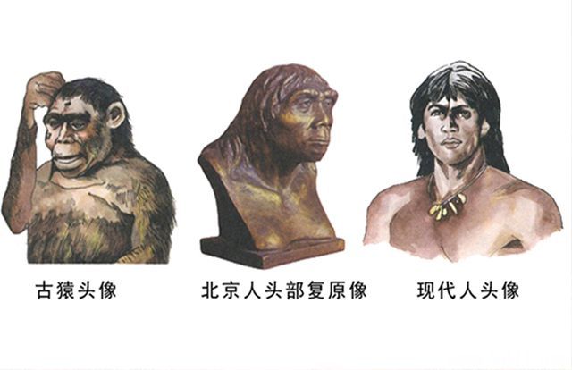 外媒中国人祖先来自非洲中国教授我同意老外评论一针见血