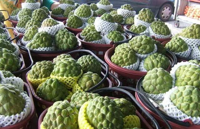 印度随处可见的水果,低价都没人愿意买,到了国内却卖到35元一斤