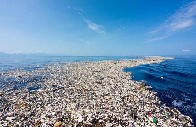 太平洋中的新大陆面积是日本的3倍却由塑料垃圾组成