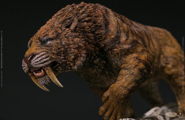 剑齿虎|獠牙|猎物_新浪新闻