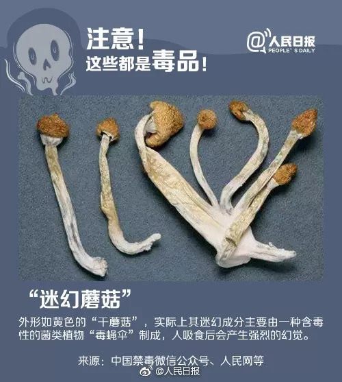 氟硝西泮:新型品出现:危害是**一千倍 吃后任人摆布